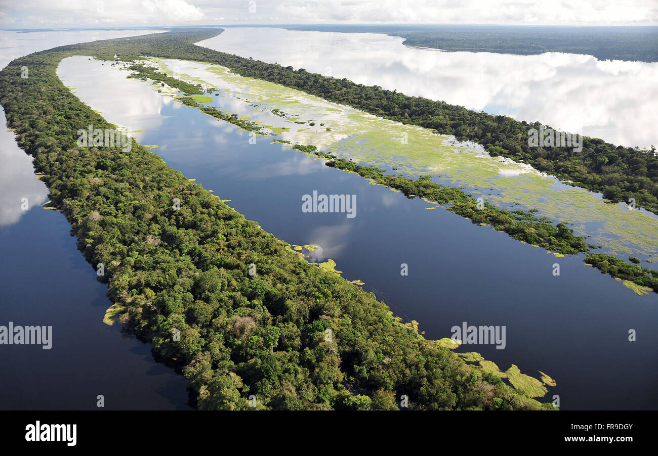 Anavilhanas Archipelago Black River Stock Photo Alamy