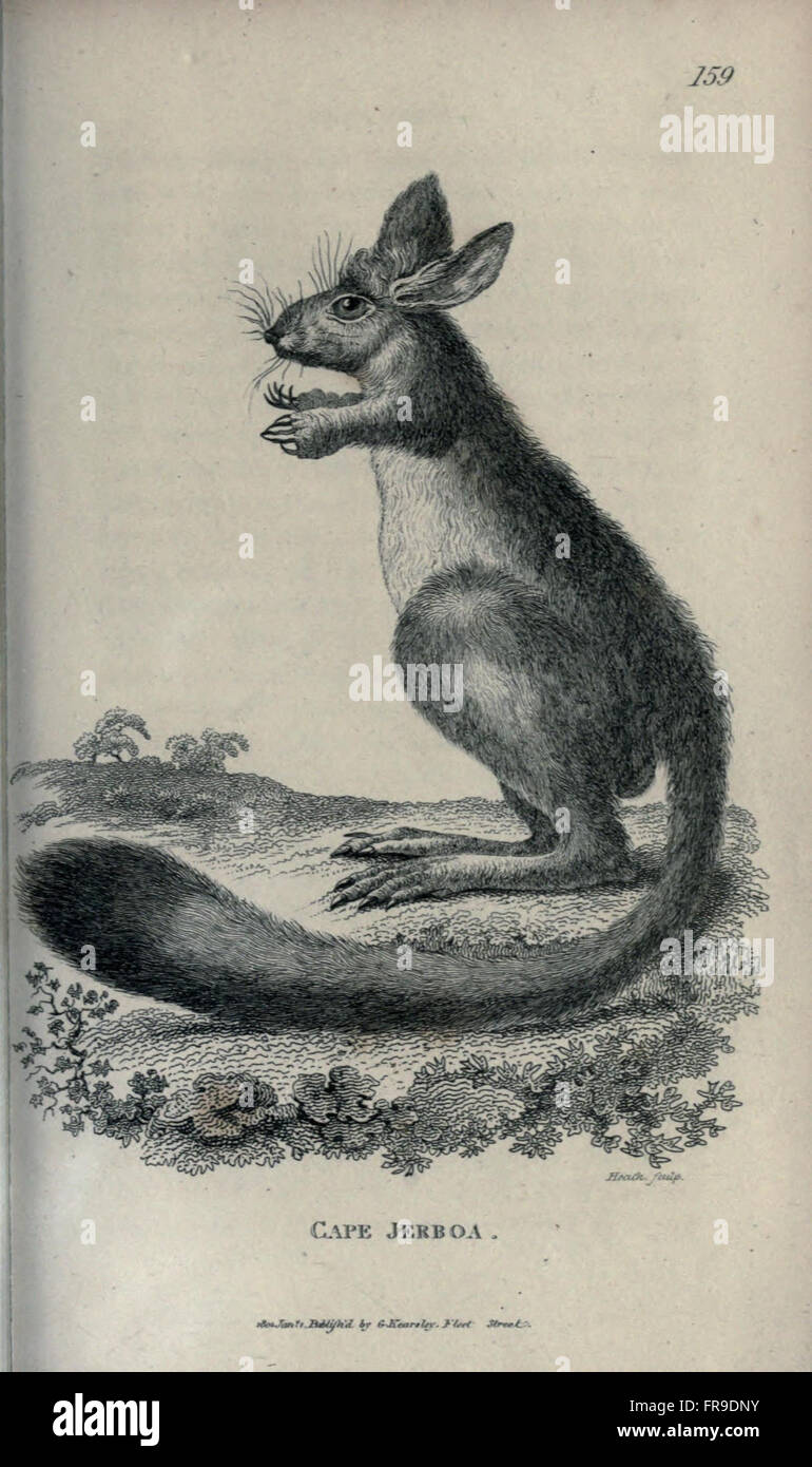 General zoology, or Systematic natural history (Pl. 159) Stock Photo