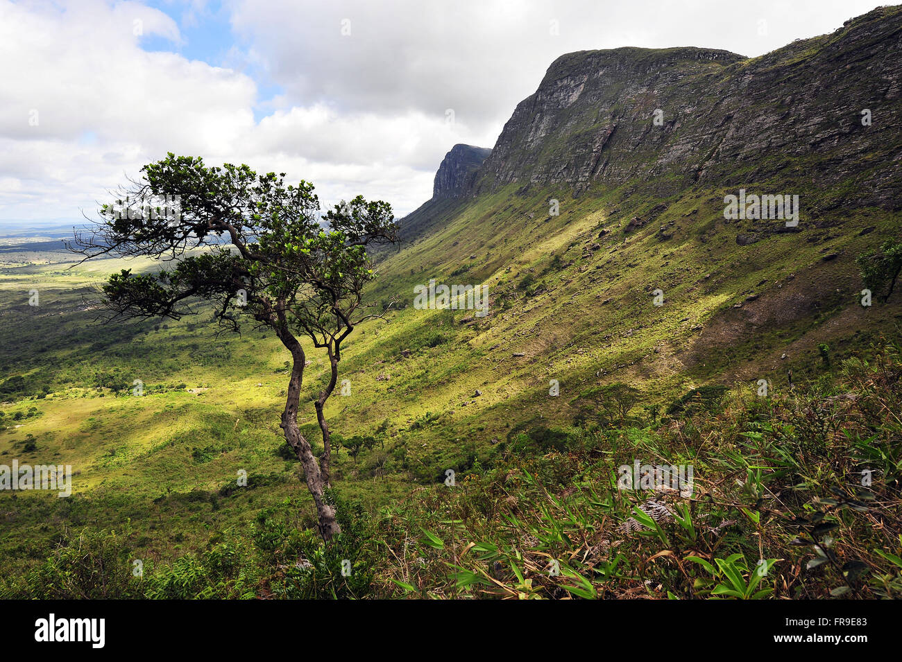 Pati Valley - National Park of Chapada Diamantina - Bahia Stock Photo