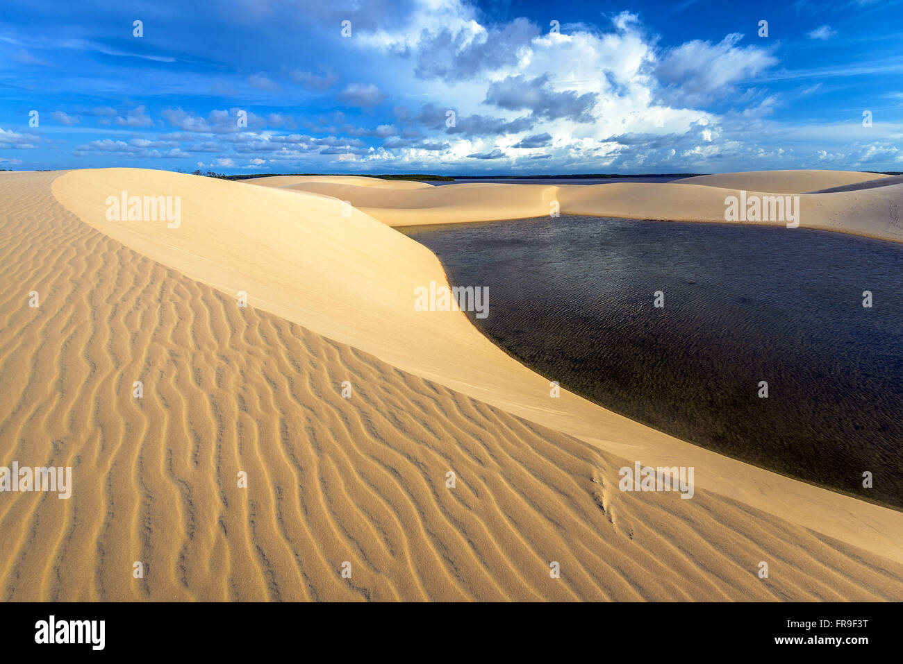 Dunes and lagoons in the Parnaíba Delta Stock Photo