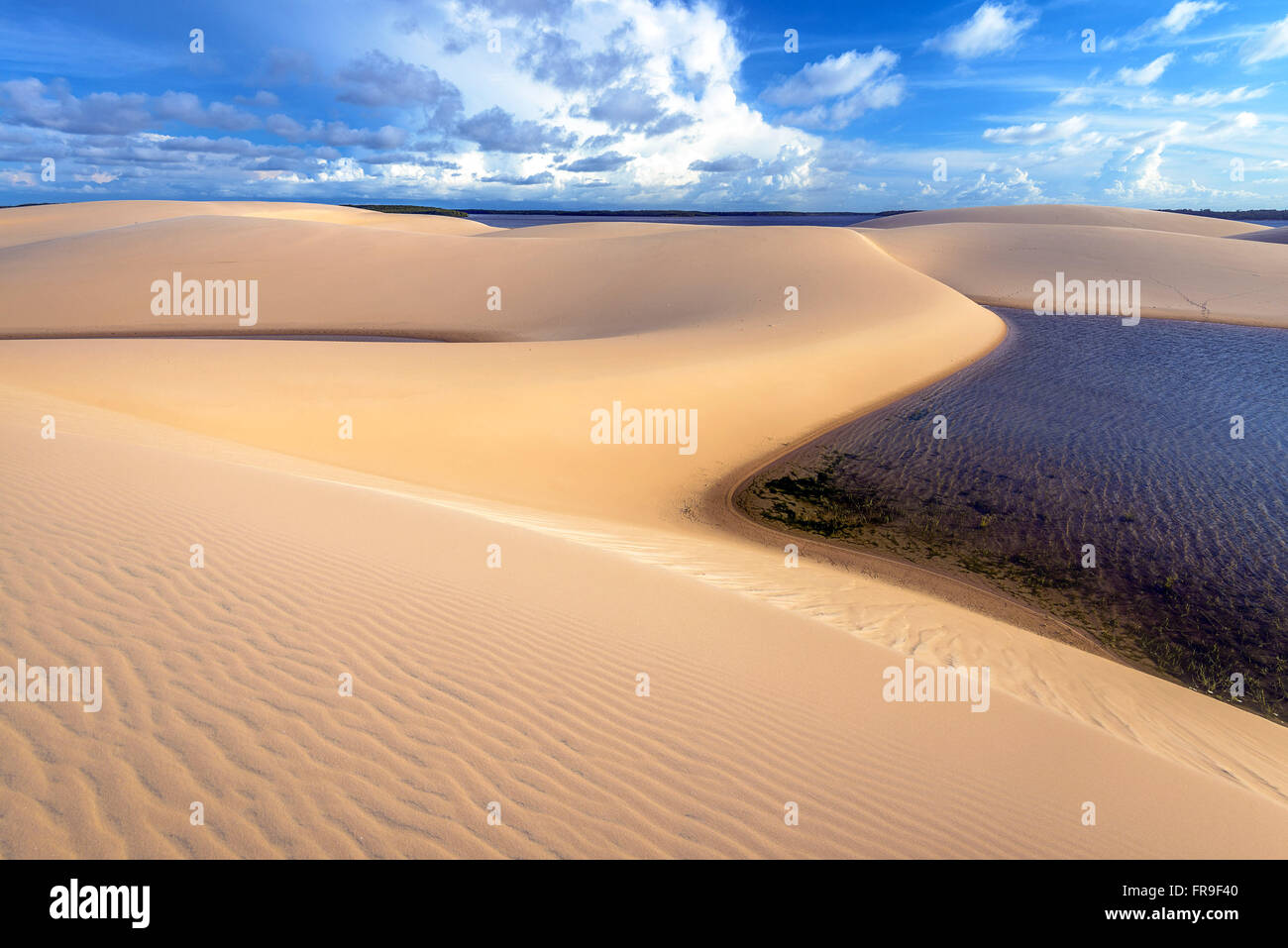 Dunes and lagoons in the Parnaíba Delta Stock Photo