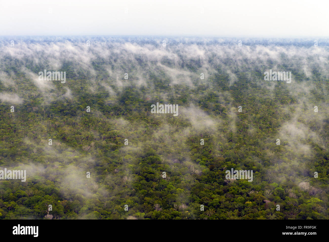 Aerial view of the water cycle evaporation phase after rain forest in the Amazon Stock Photo