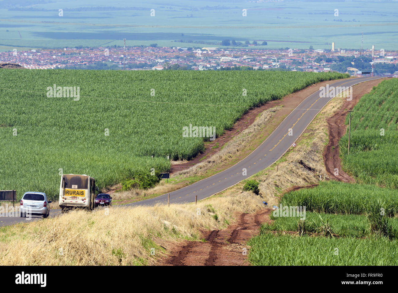 Highway through the planting of sugarcane with urban area to the bottom Stock Photo
