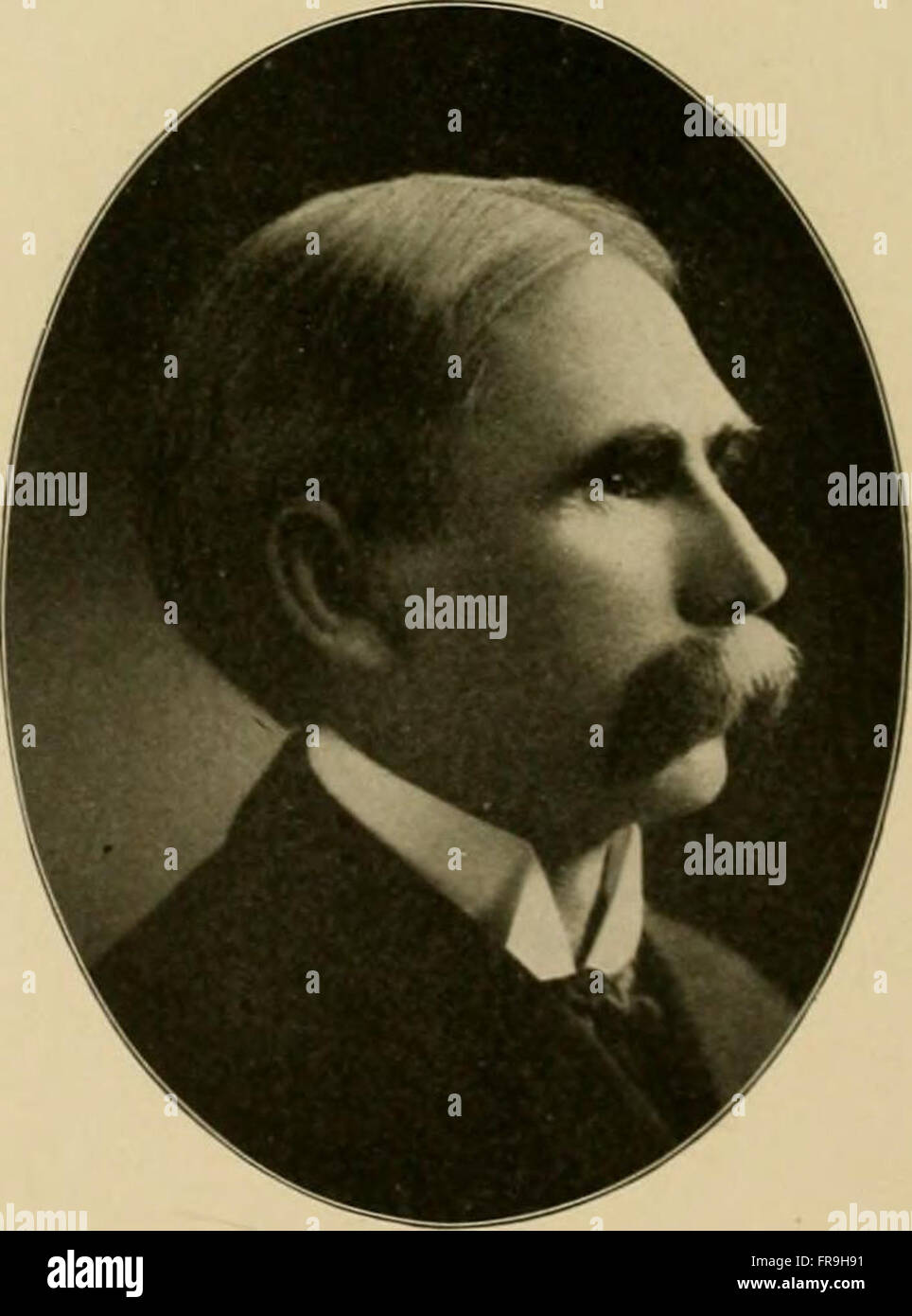 Historical encyclopedia of Illinois (1904 Stock Photo Alamy