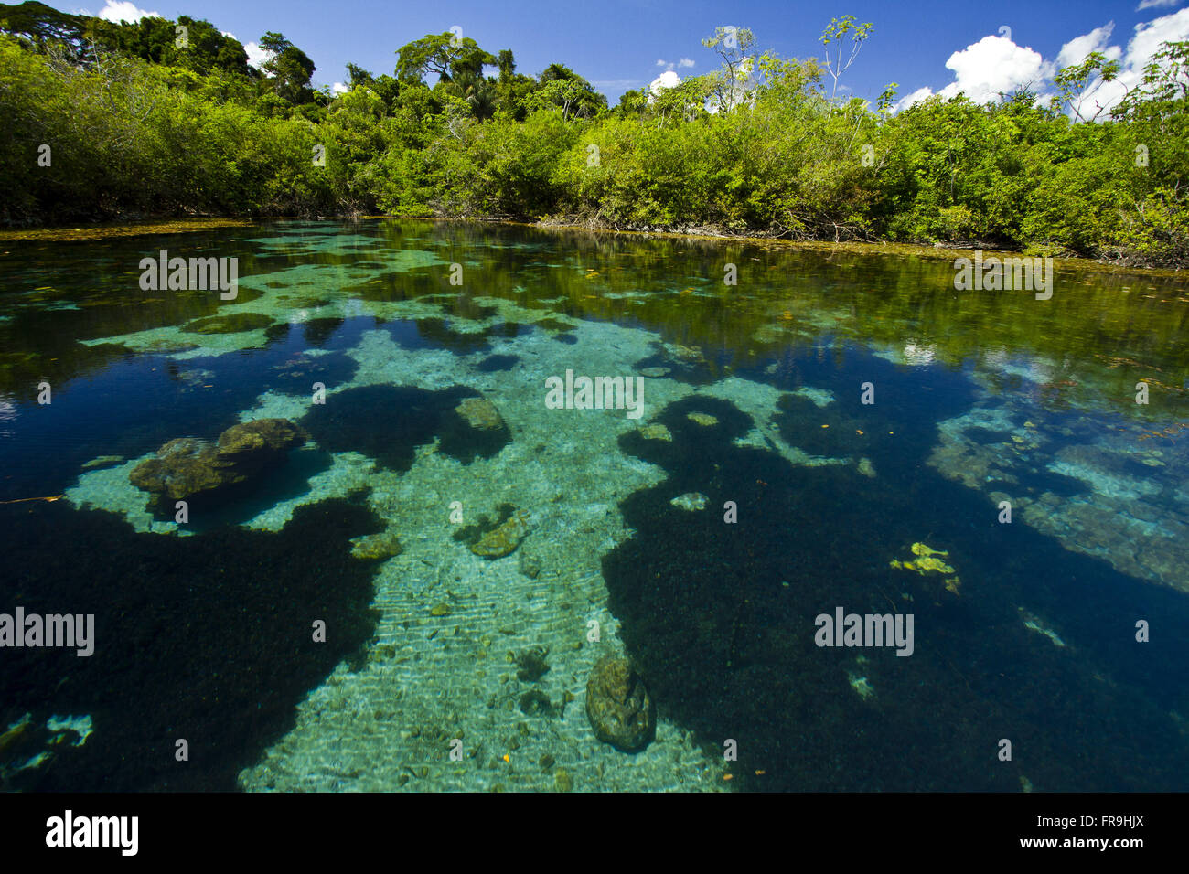 Booking Blue Lagoon on Indigenous Kayabi - Caiabi tribe Stock Photo