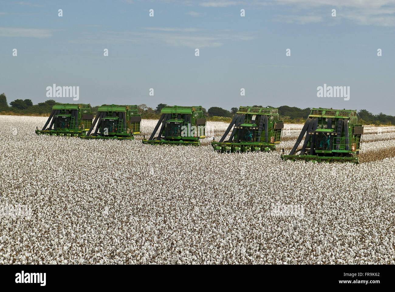Costa Rica Mato Grosso do Sul fonte: c8.alamy.com