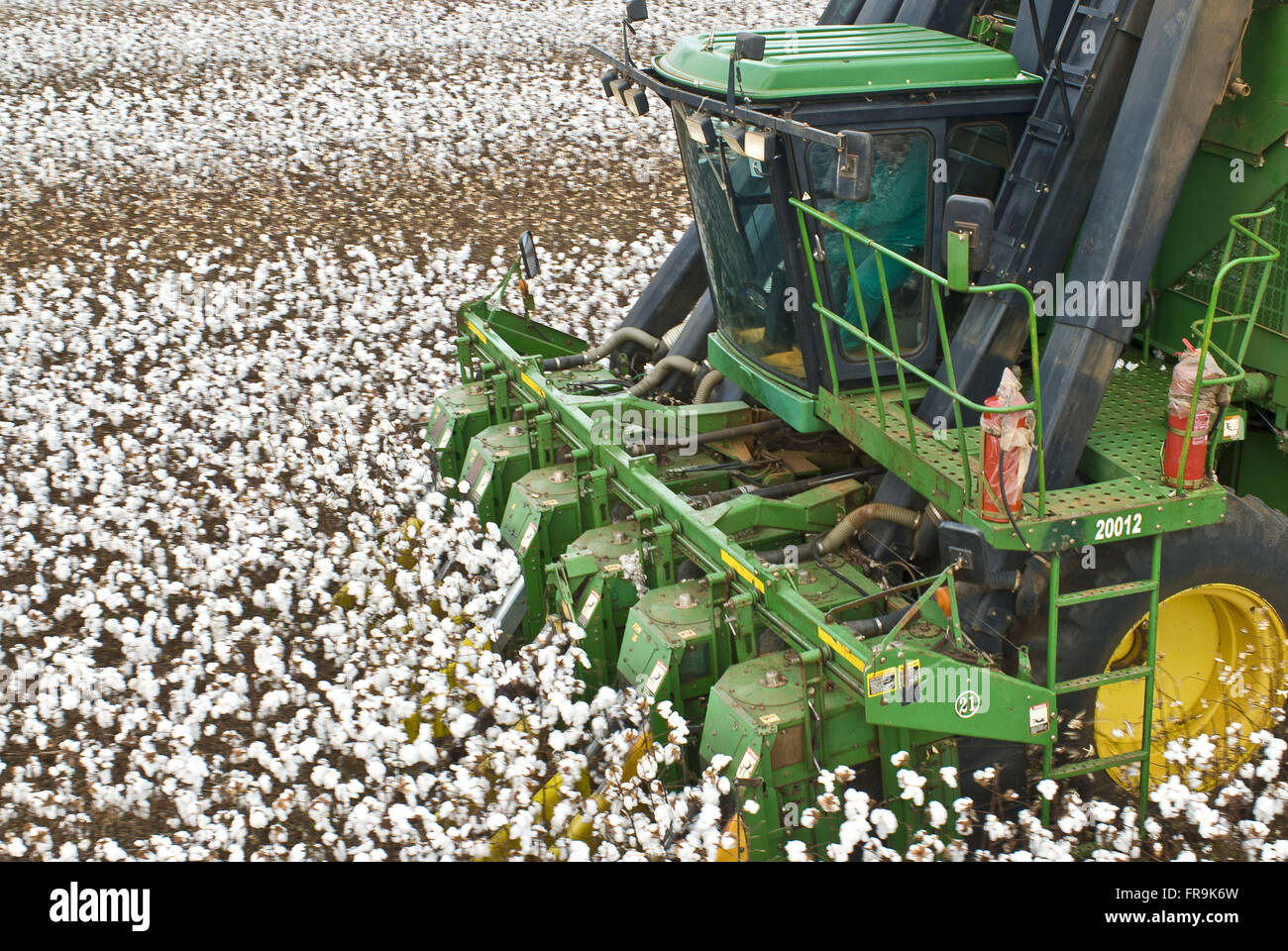 Costa Rica Mato Grosso do Sul fonte: c8.alamy.com