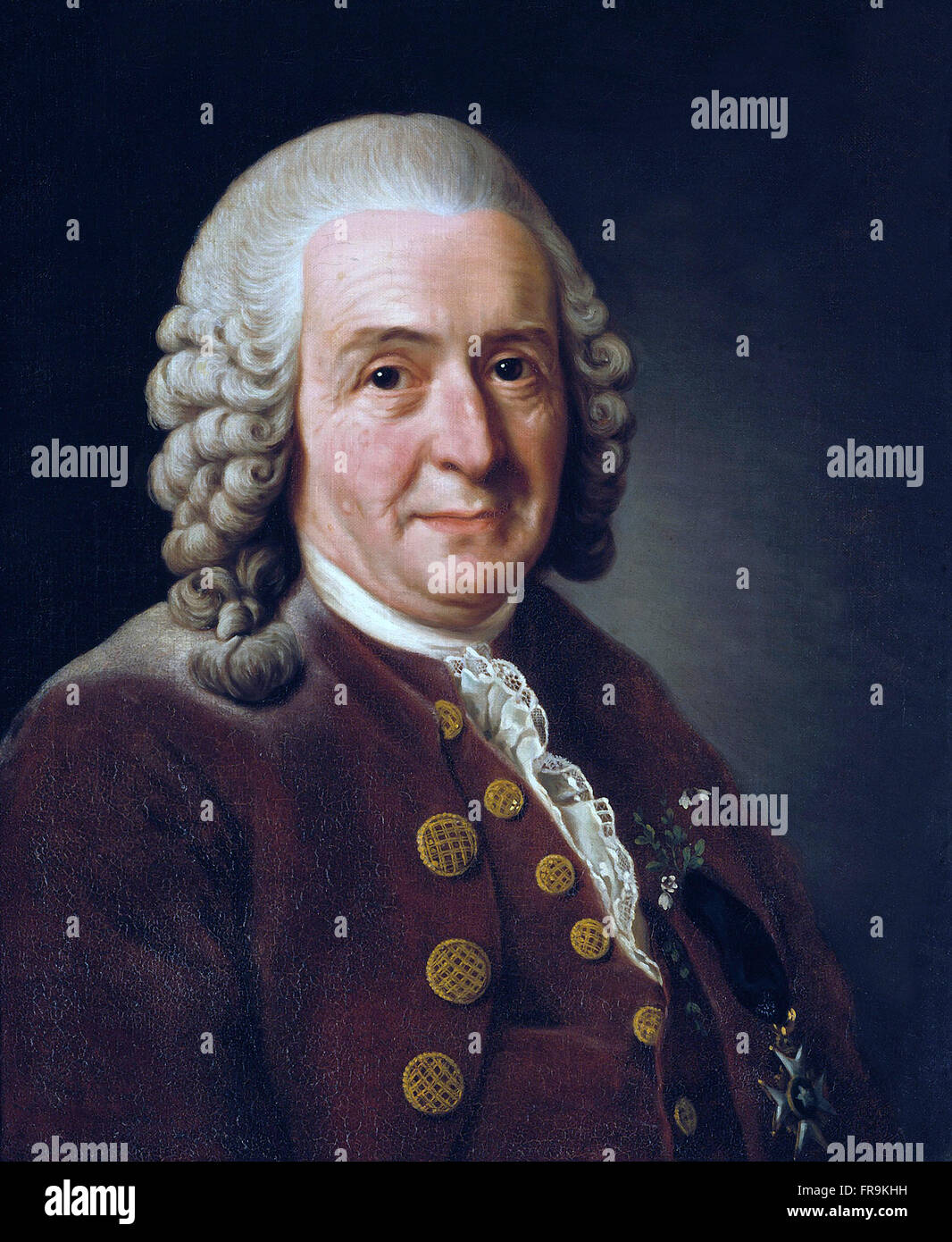 A 1610 portrait of Carl von Linné by Alexander Roslin in 1775, oil on canvas.  Carl Linnaeus (1707 – 10 January 1778), also known after his ennoblement as Carl von Linné was a Swedish botanist, physician, and zoologist, who formalised the modern system of naming organisms called binomial nomenclature. He is known by the epithet 'father of modern taxonomy' Stock Photo