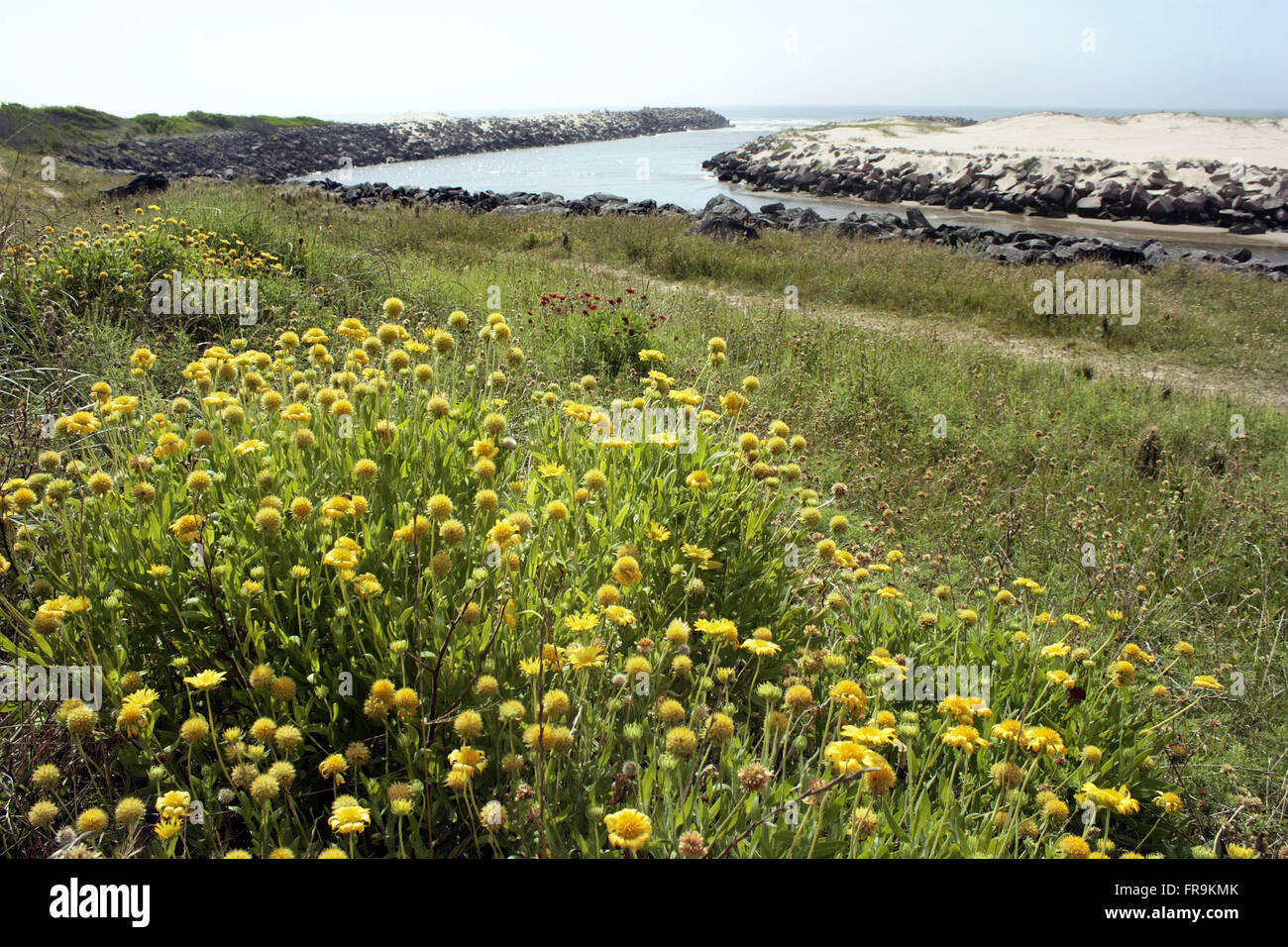 Barra do Chui Stream - small stream that flows into the Atlantic Ocean Stock Photo