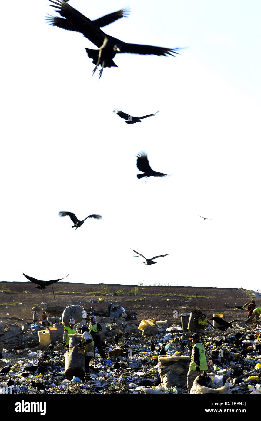 Scavengers collecting recyclable waste at the Sanitary Landfill of Jardim Gramacho Stock Photo