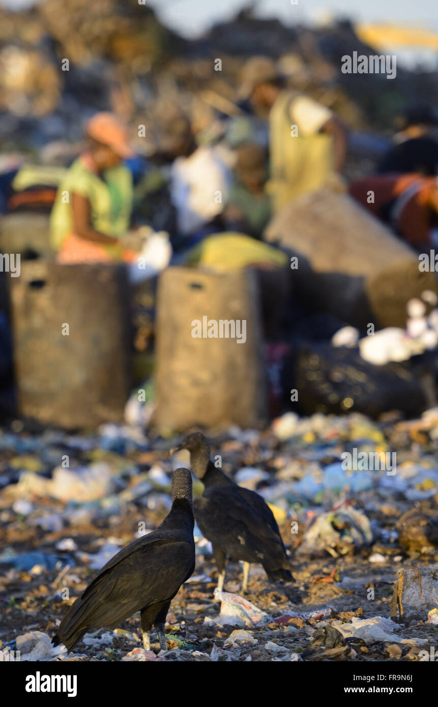 Vultures and scavengers collecting recyclable waste at the Sanitary Landfill of Jardim Gramacho Stock Photo