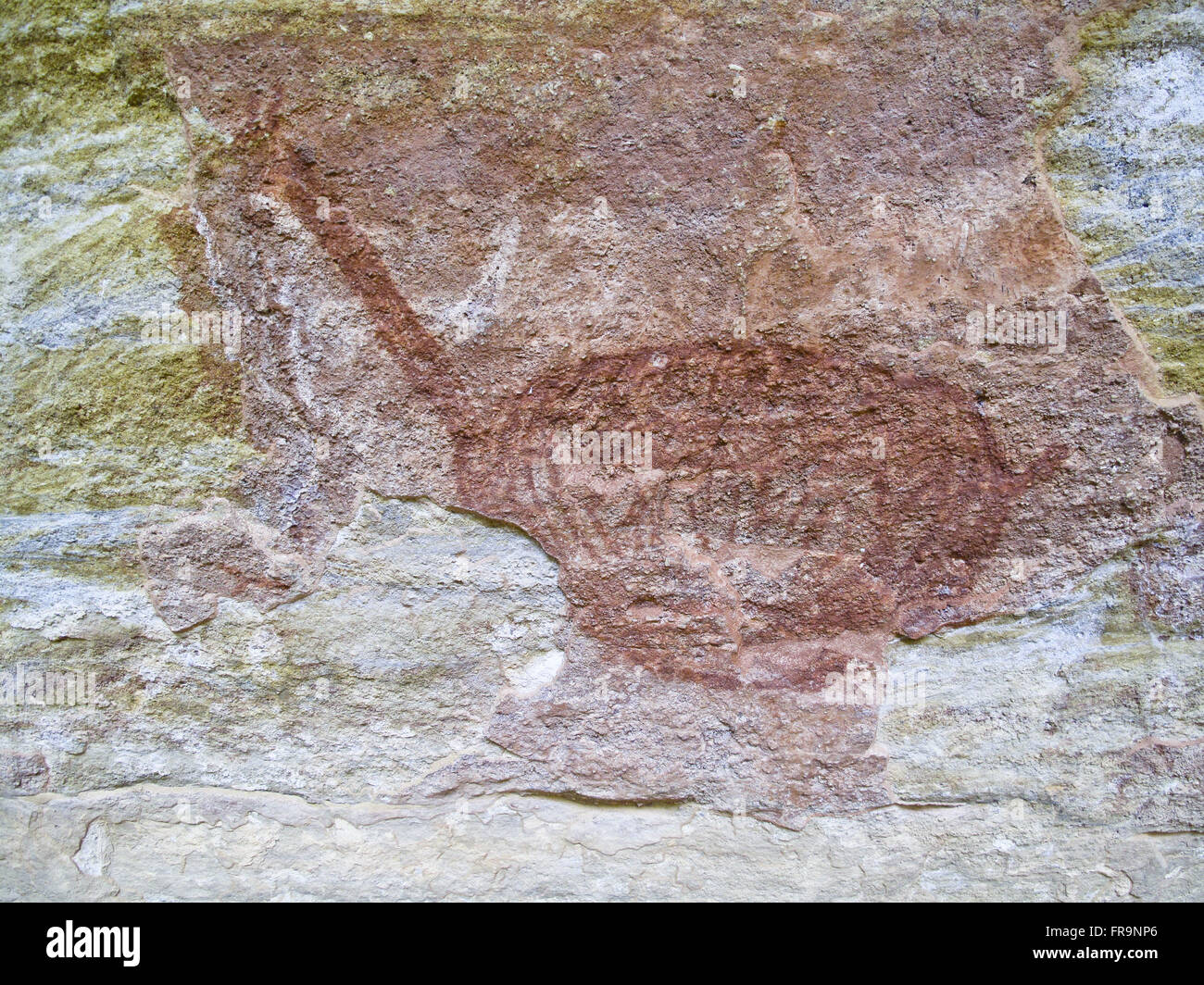 Detail of cave paintings in Serra da Capybara National Park Stock Photo