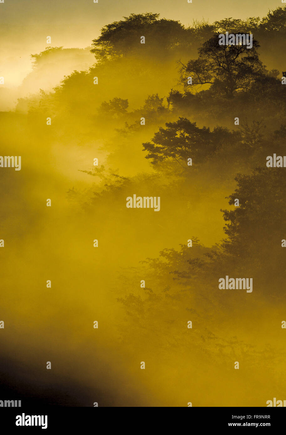 Haze of dust on the road at dusk Stock Photo Alamy