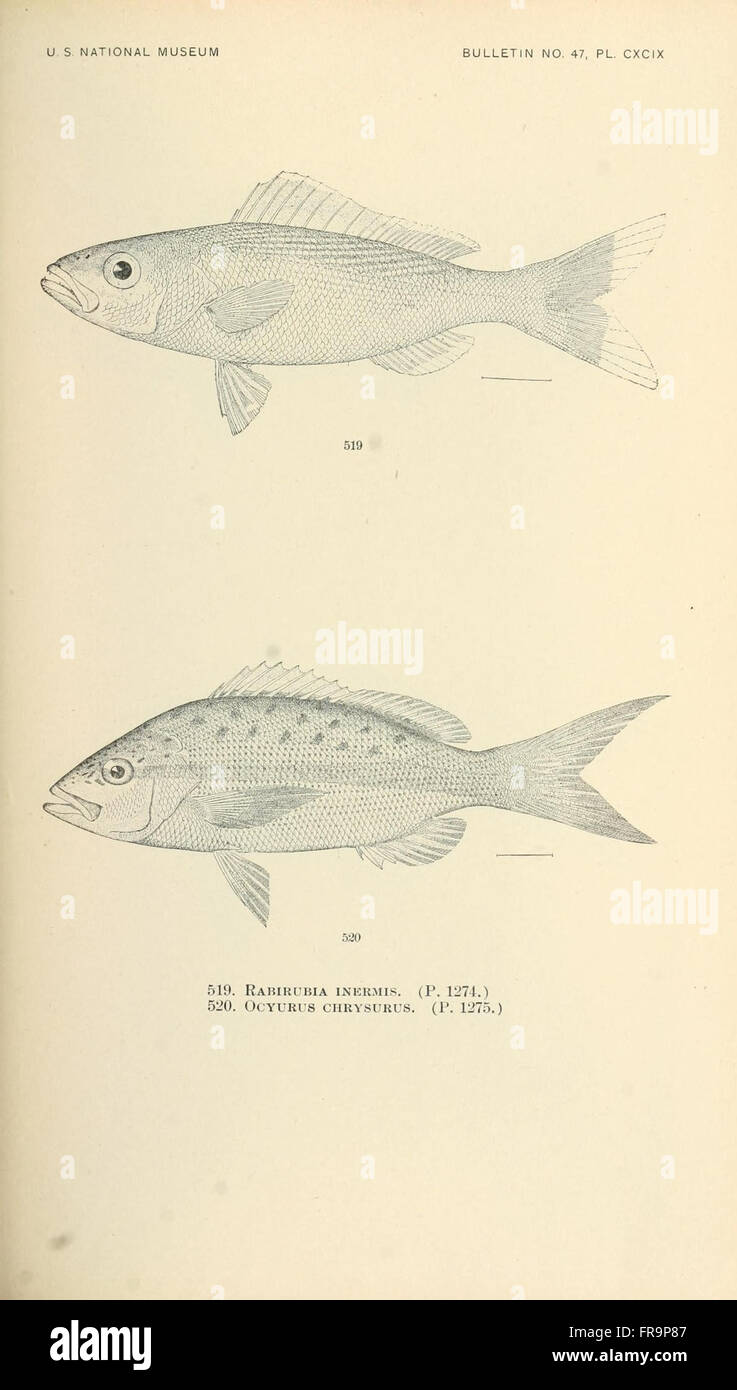 This detailed work focuses on the fishes of North and Middle America