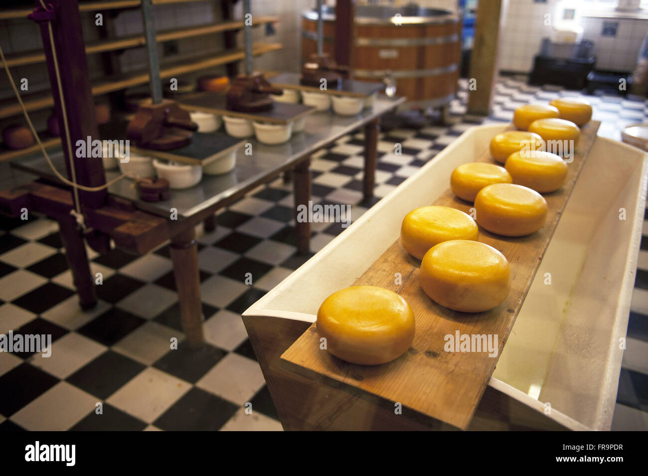 Production of farmhouse cheeses in the village of Zaanse Schans - North Holland Stock Photo