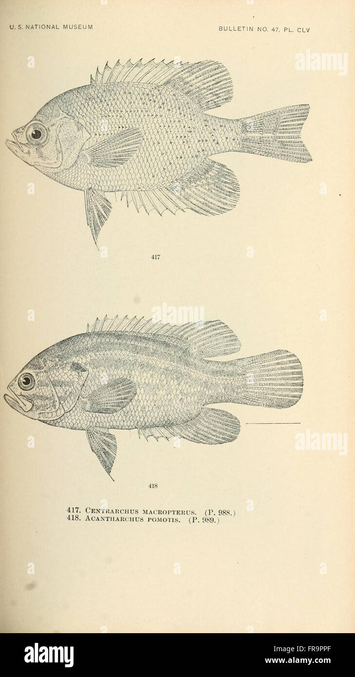 This work provides detailed illustrations and descriptions of various ...