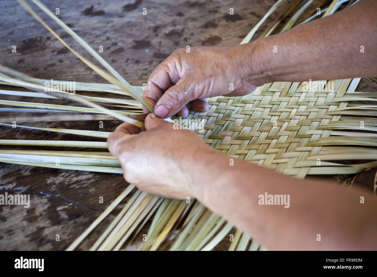 Maria Anita Ferreira Martins locking straw burity Stock Photo