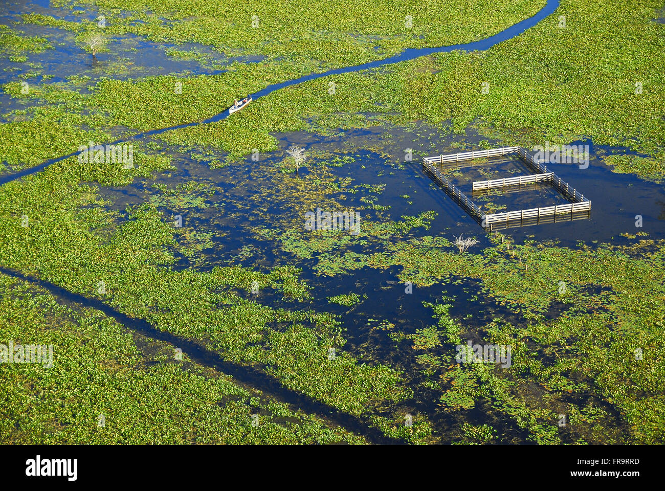 Aerial view of flooded farm corral the period of the rains - Pantanal of Barao de Melgaco Stock Photo