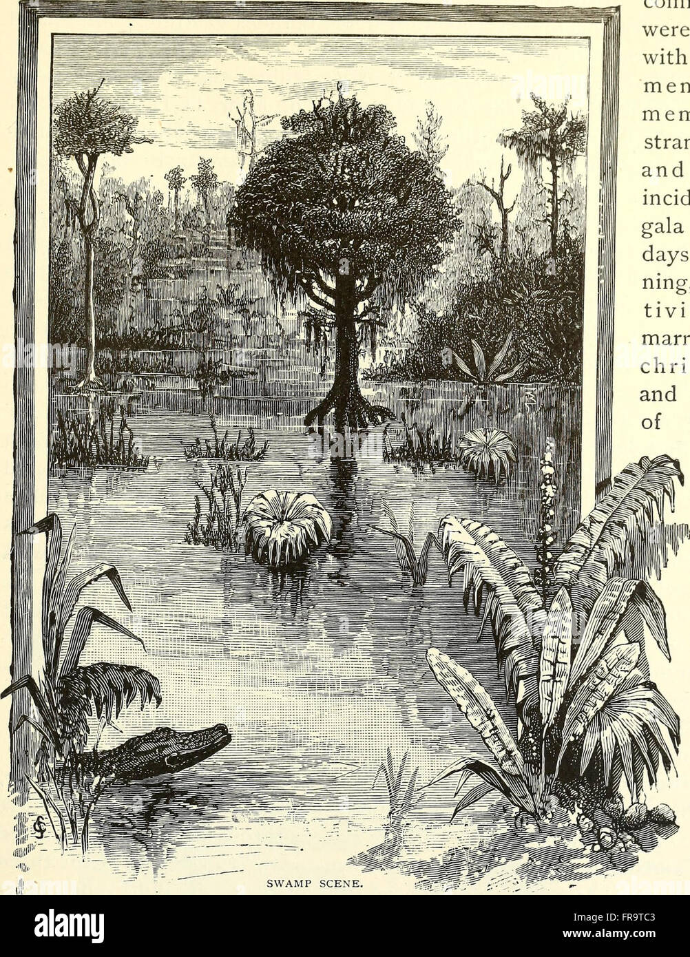 The magazine of American history with notes and queries (1877 Stock ...