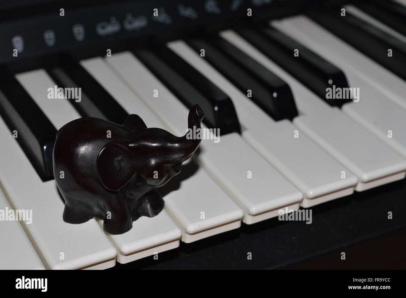 Elephant on Keyboard Stock Photo Alamy