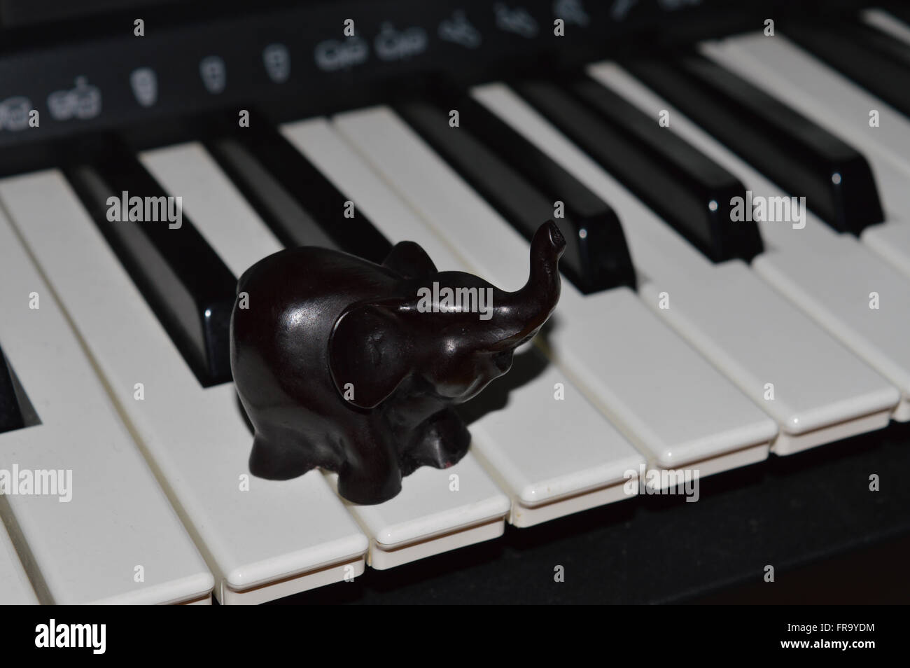 Elephant on Keyboard Stock Photo - Alamy