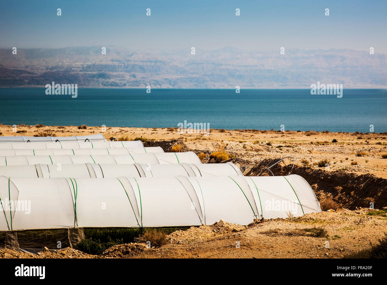 Greenhouses along the Dead Sea; Jordan Valley, Israel Stock Photo Alamy