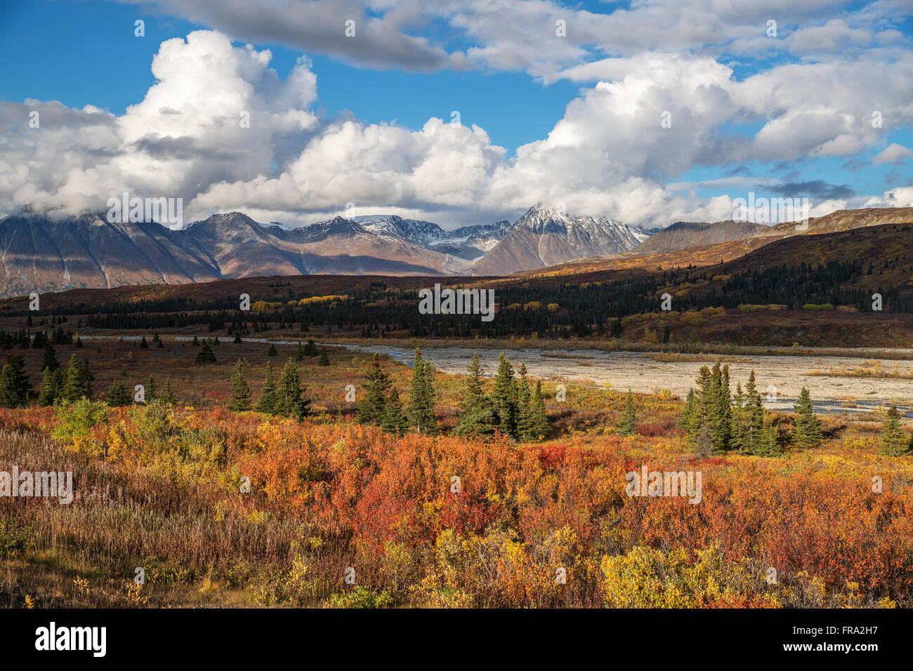 Fall color along the Haines Highway, Alaska Highway, British Columbia