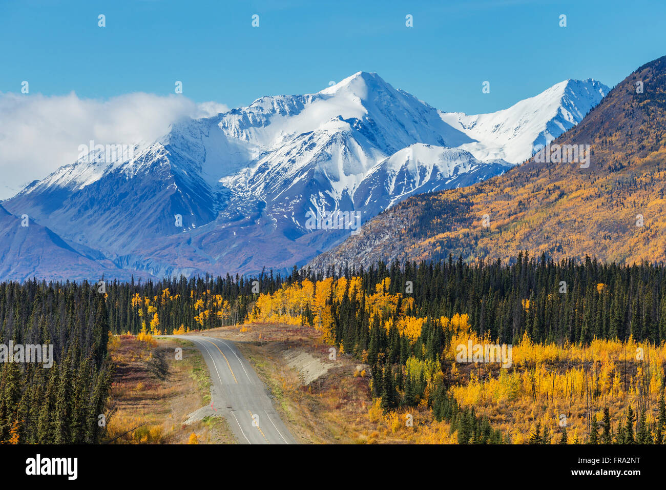 Scenic View Of The Alaska Highway With Snow Capped Peaks Of The St. Elias Mountains And Colorful Trees In The Background, Yukon Territory, Canada, ... Stock Photo