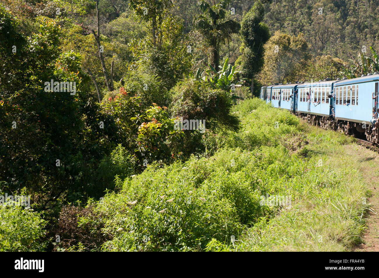 Scenes from the train between Ella & Nanu Oya, Sri Lanka Stock Photo