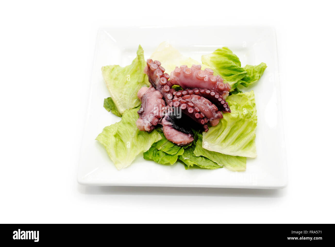 Octopus Tentacle Appetizer with Romain Lettuce Stock Photo
