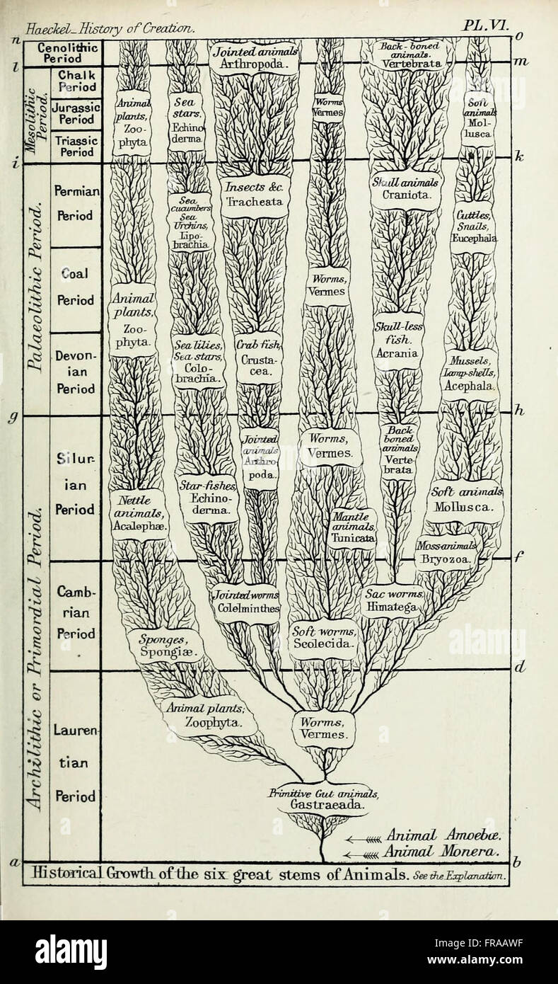 This work presents the development of Earth and its life through ...