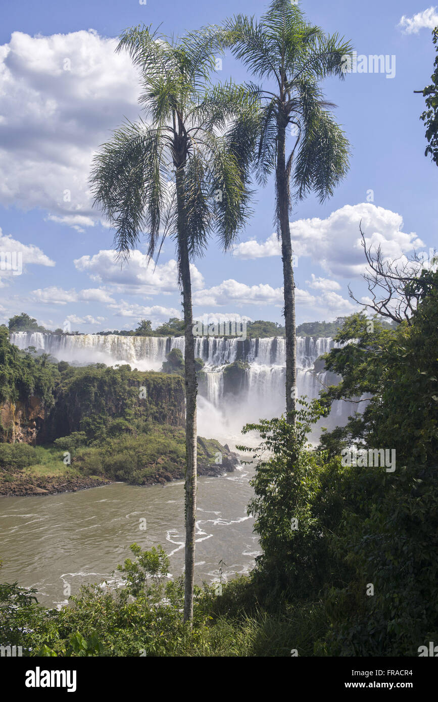 Cataratas del Iguazu - Salto San Martin - Iguazu National Park Stock Photo