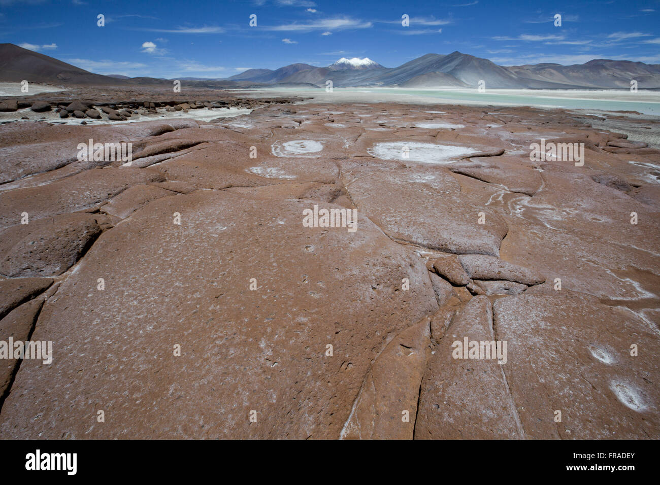 Piedras Rojas in the Salar de Talar - Atacama Desert Stock Photo