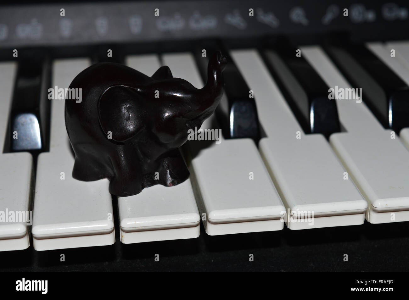 Elephant on Keyboard Stock Photo Alamy
