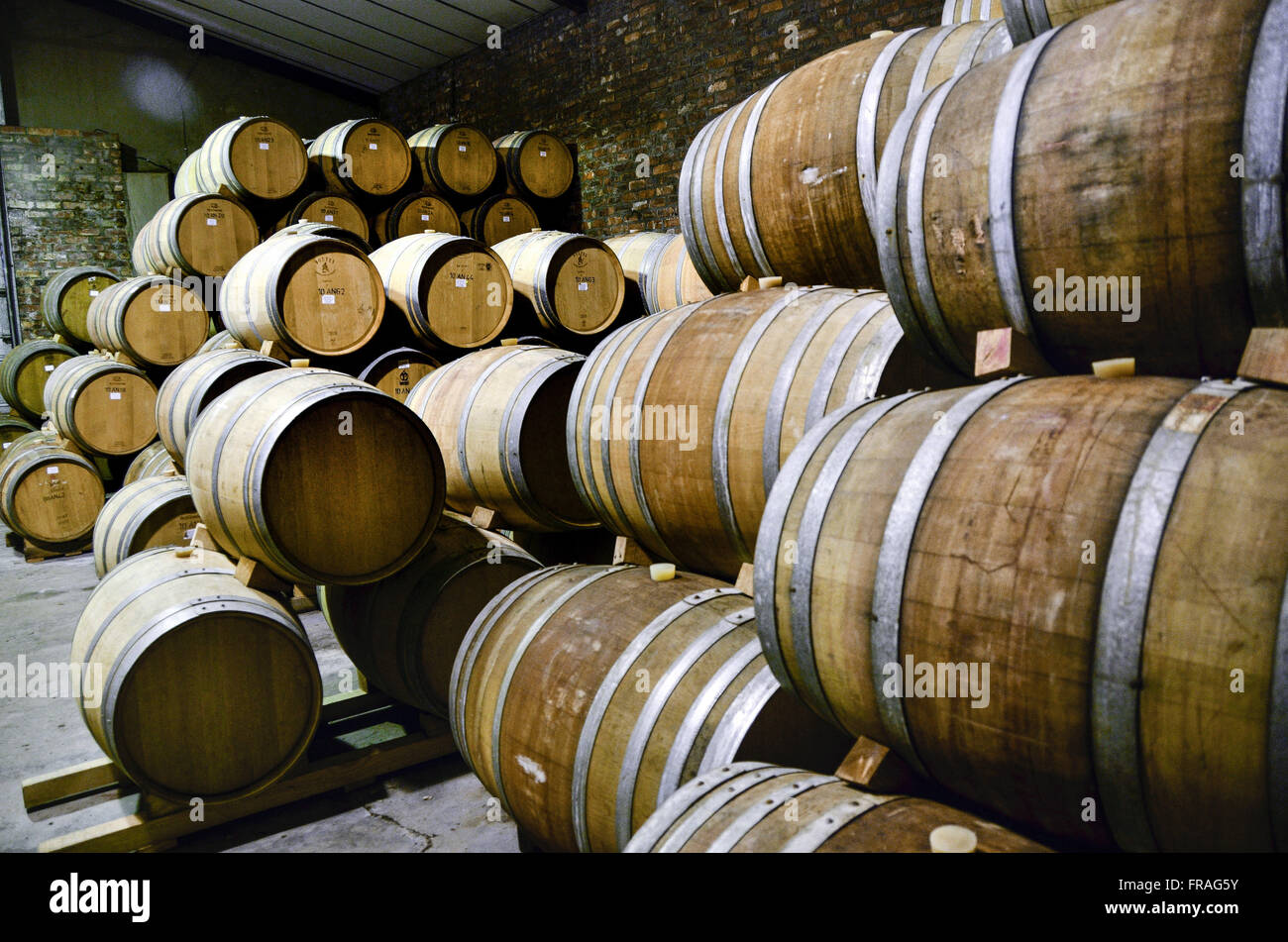 Oak barrels for aging wine in the cellar of the winery Anura - village Klapmuts Stock Photo