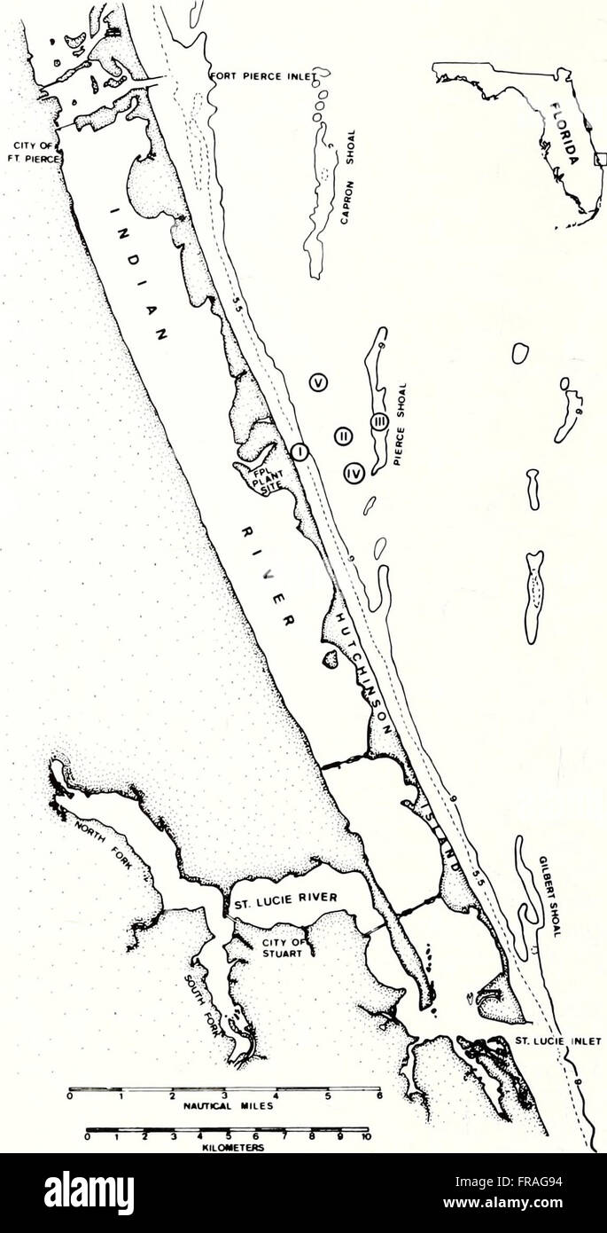 The 1988 edition of the American Malacological Bulletin offers an in ...