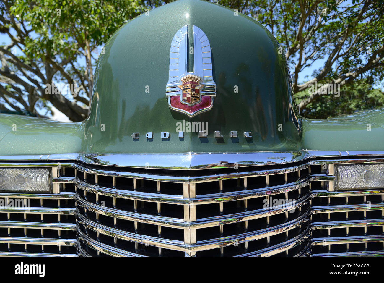 Cadillac front detail exposed in fair vintage cars in Flamengo Stock Photo