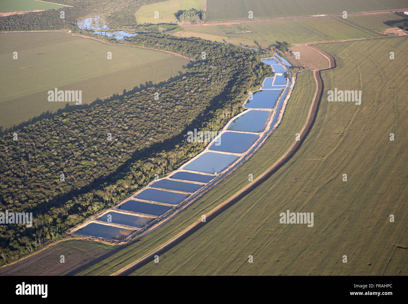 Aerial view of road crossing maize plantation in the countryside Stock Photo