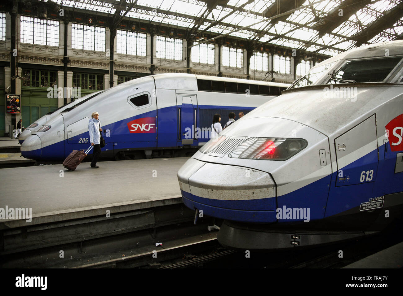 Gare de Lyon - Paris rail terminal Stock Photo - Alamy