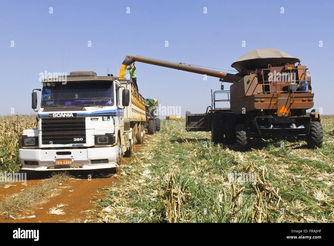 Download corn harvester to truck Stock Photo