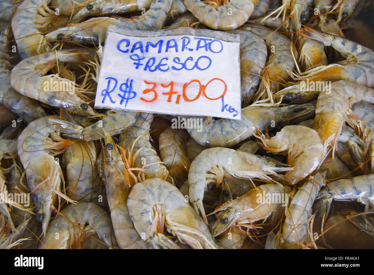 Fresh shrimp sold on Rua Aurea Gonzalez Conde Street known as the Fish in Ponta da Praia Stock Photo
