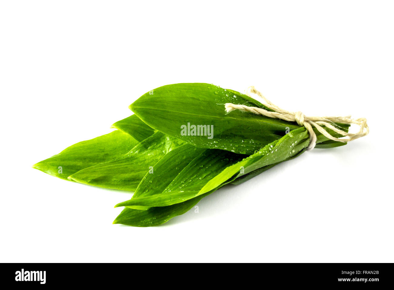 Garlic Leaves