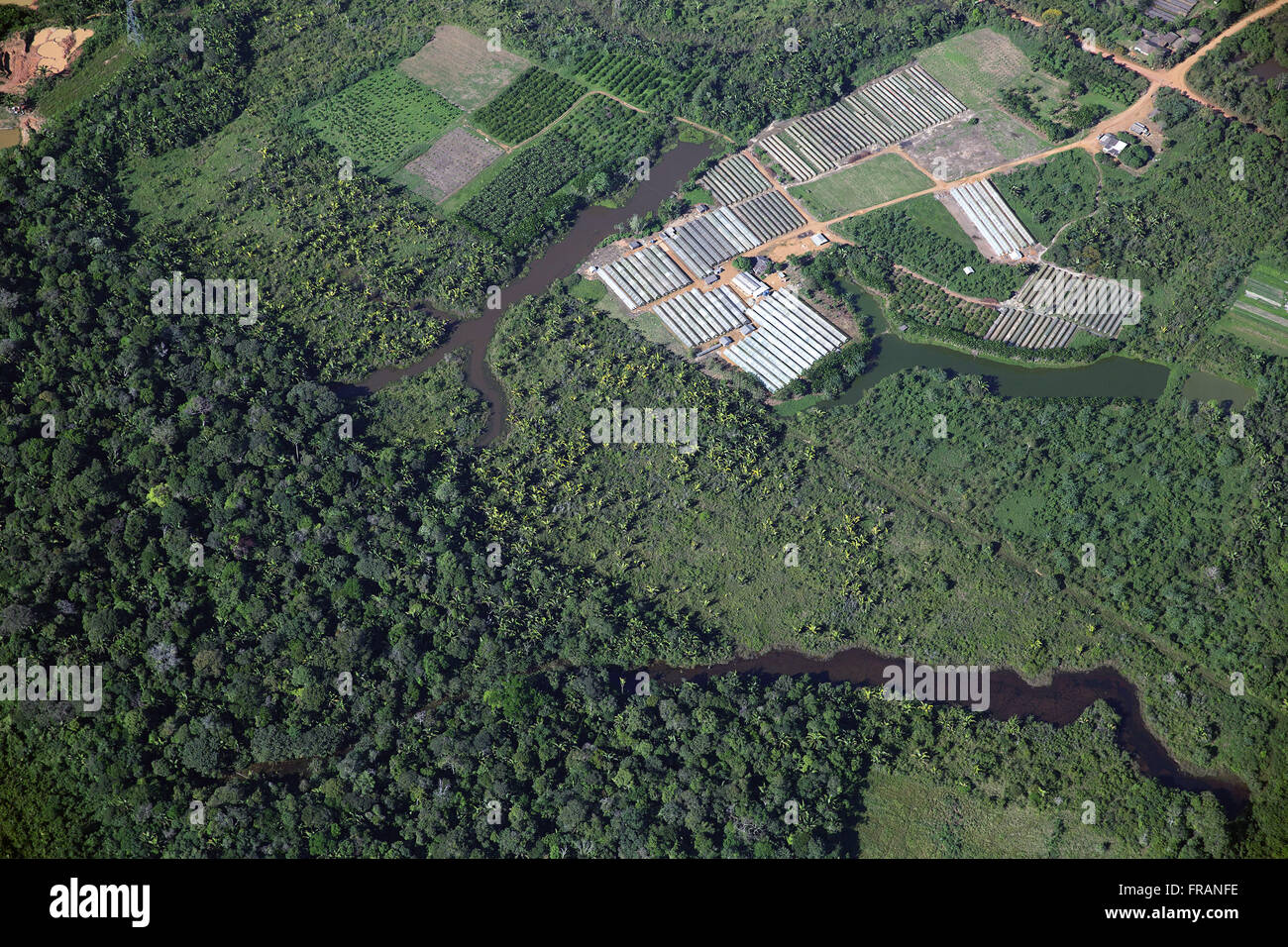 Aerial view of the horticultural production in the outskirts of town Stock Photo