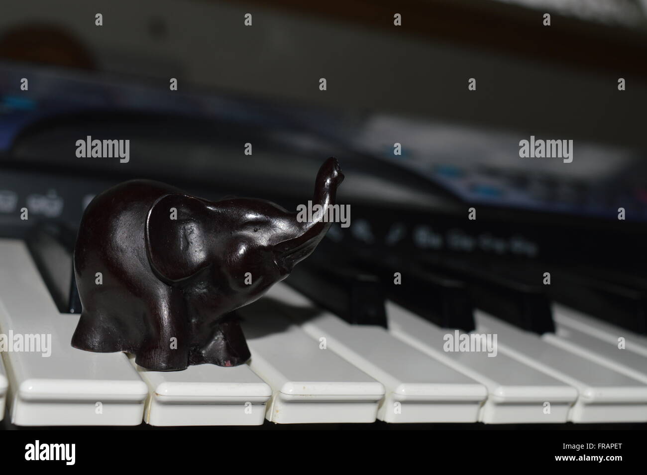 Elephant on Keyboard Stock Photo - Alamy