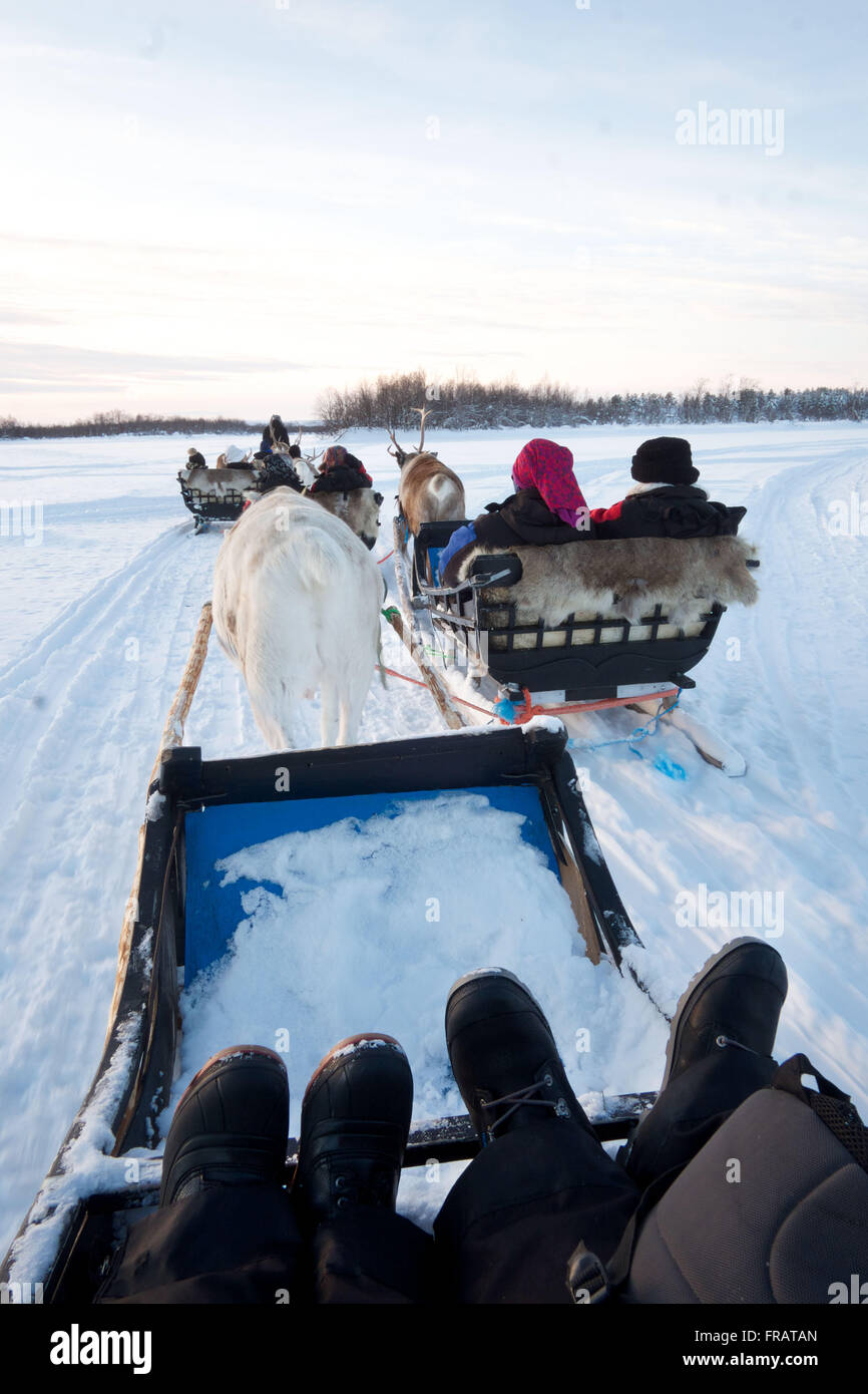 Reindeer sleigh ride, 3 reindeer sleighs with 2 people in each sleigh on a snow frozen lake in Finland. Stock Photo
