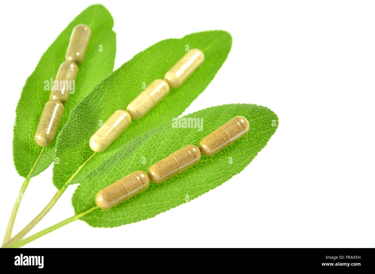 herbal capsules on sage leaves Stock Photo Alamy