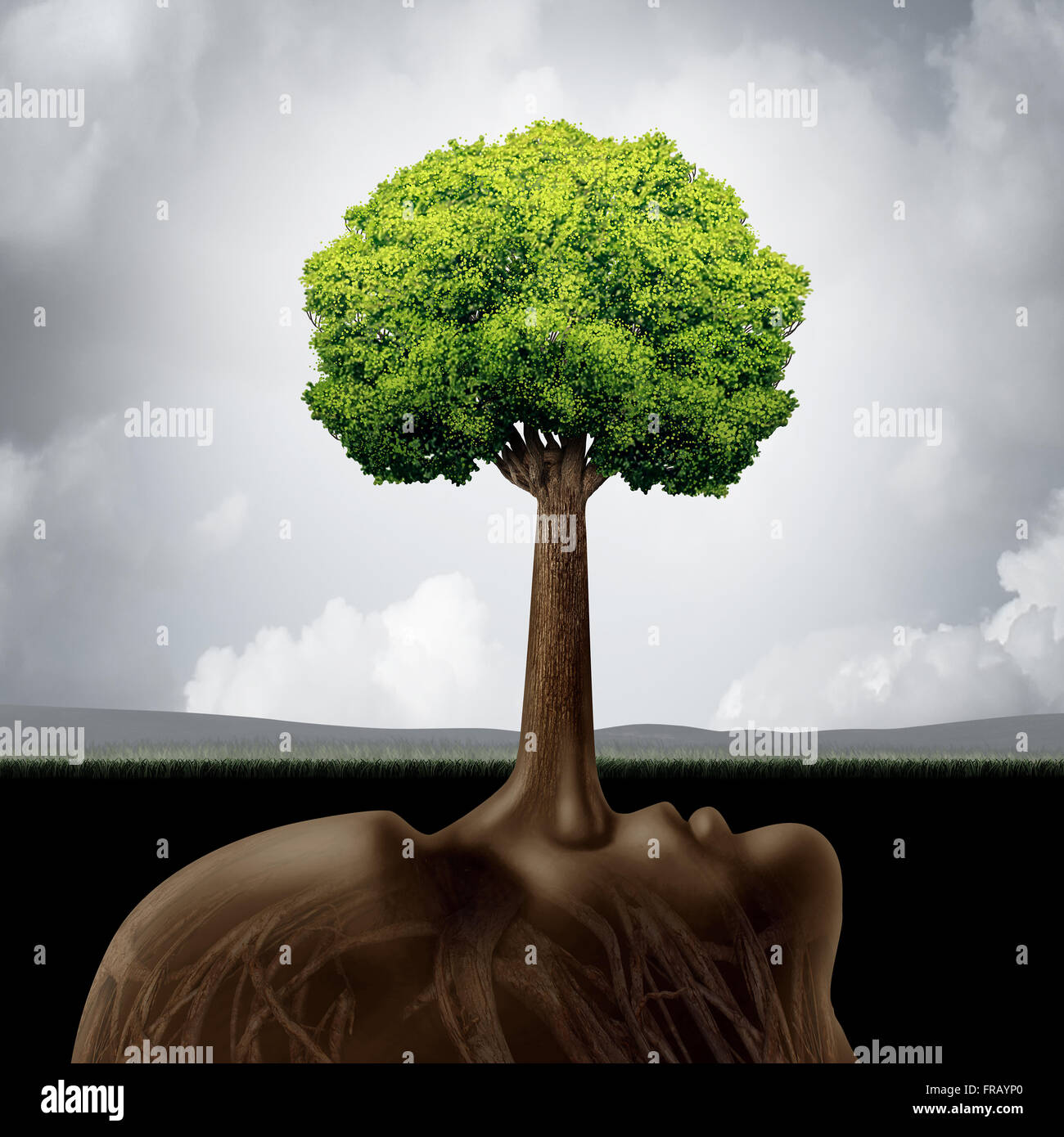 Liar concept as a corruption symbol for built on lies as a long nose protruding out shaped as a green tree providing false guidance and fraudulent advice in business or the environment.. Stock Photo