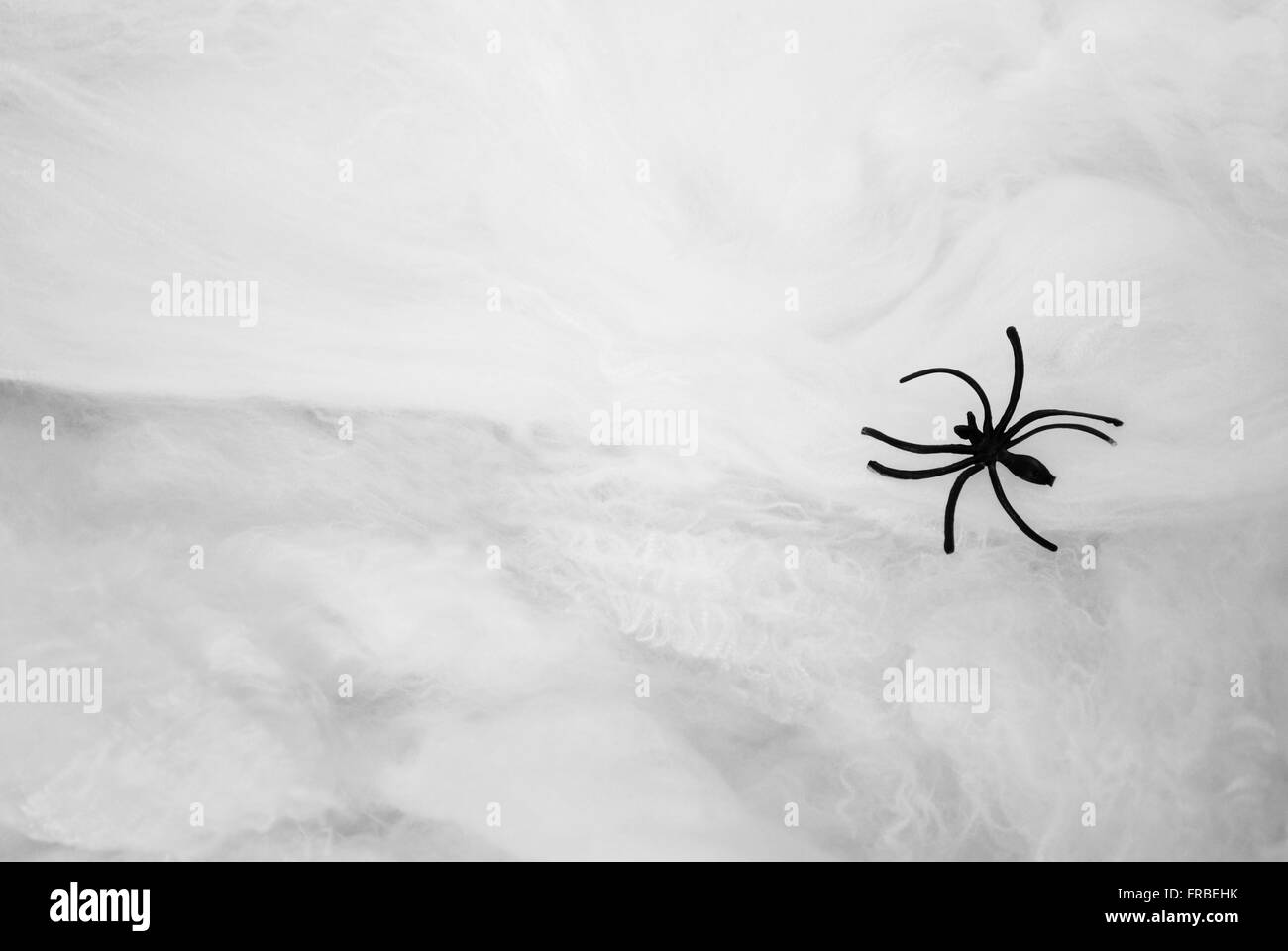 Toy Black Spider Over a White Webbing with Copy Space Stock Photo