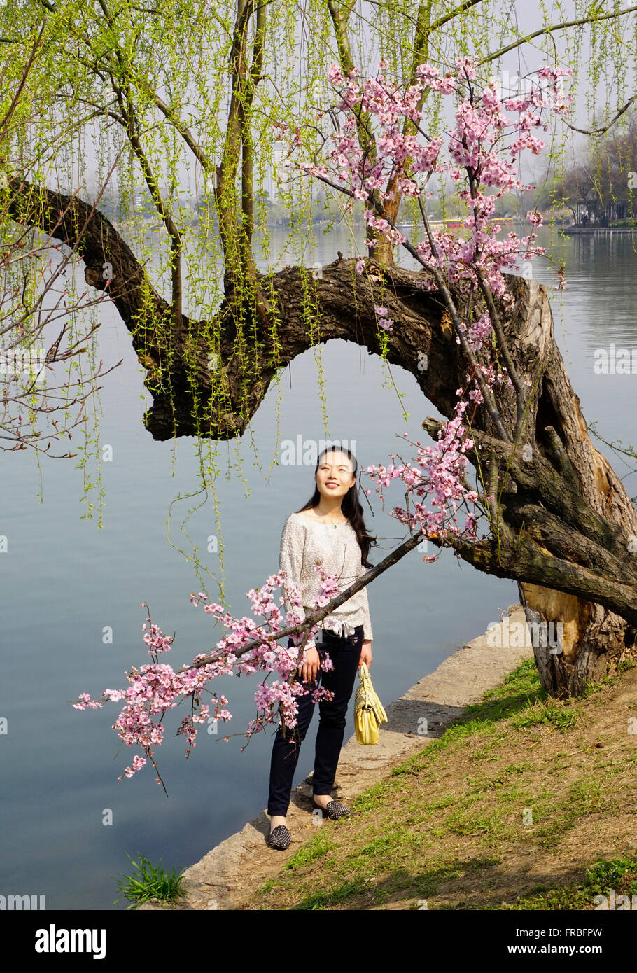 Young woman admiring plum blossoms in spring along Xuwanwu Lake in Nanjing. Stock Photo