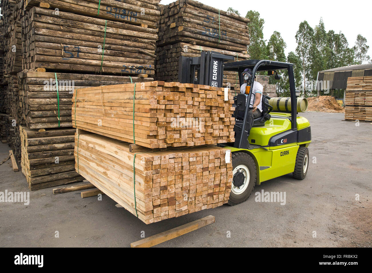 Forklift moved the gas in the processing of planted timber industry - Teak tree Stock Photo